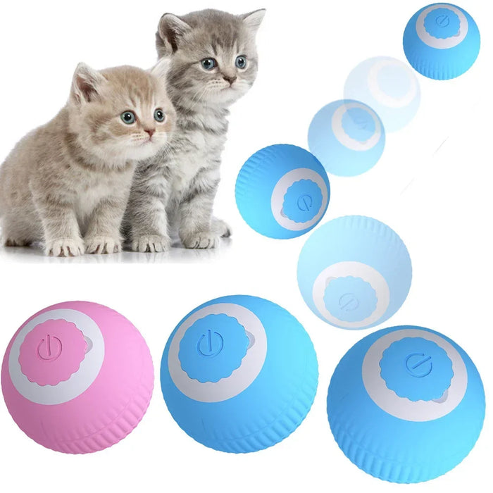 Slimme interactieve bal voor katten