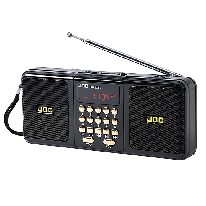 Altavoz portátil con Bluetooth y radio FM, negro