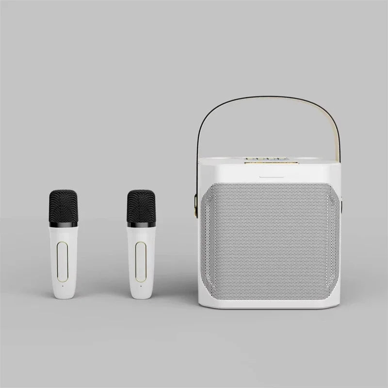 High-power Bluetooth karaoke speaker with two microphones
