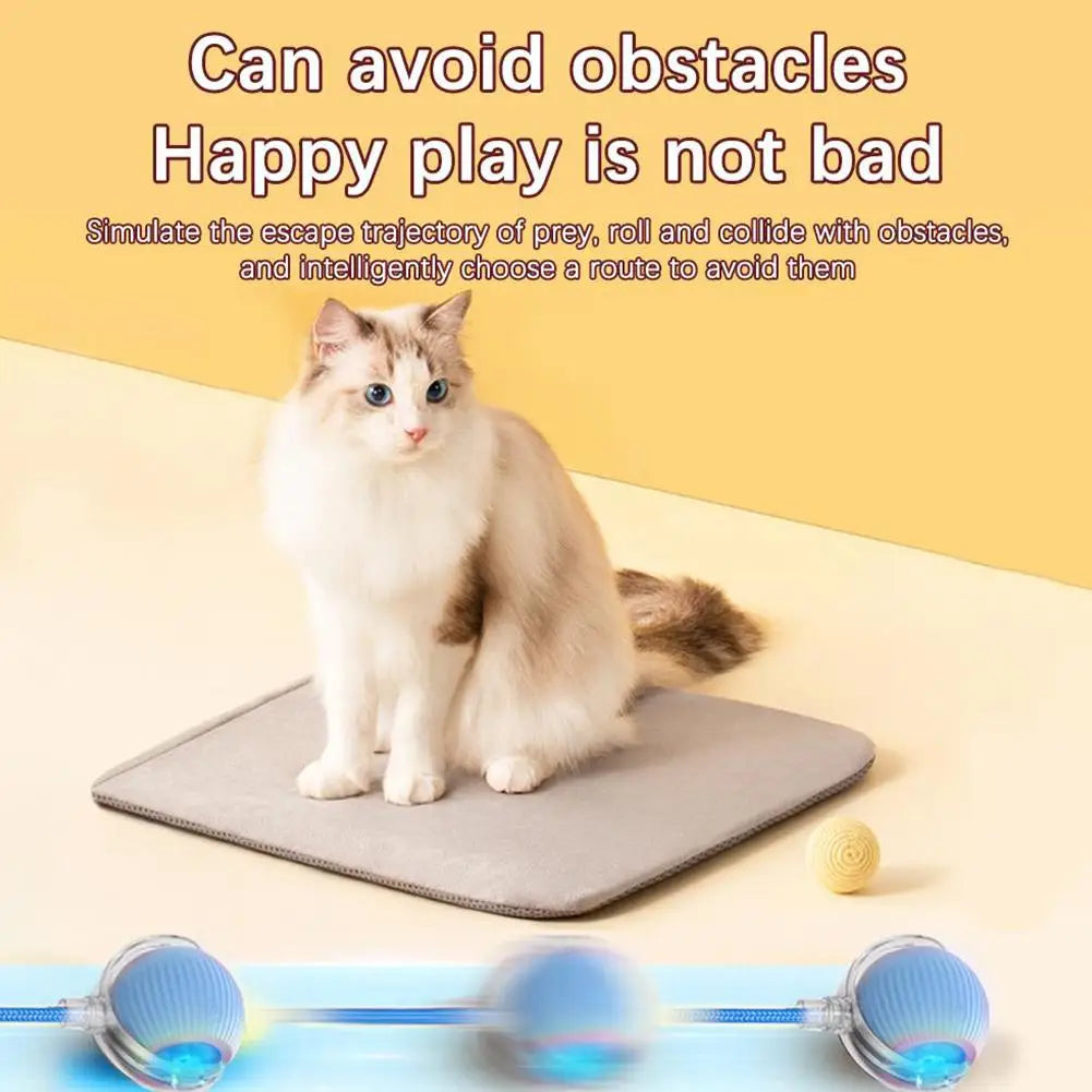 Slimme en interactieve rollende bal voor katten