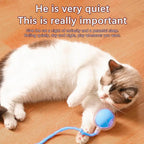 Slimme en interactieve rollende bal voor katten