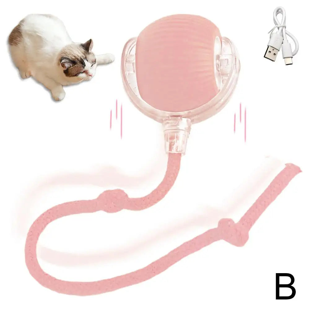 Slimme en interactieve rollende bal voor katten