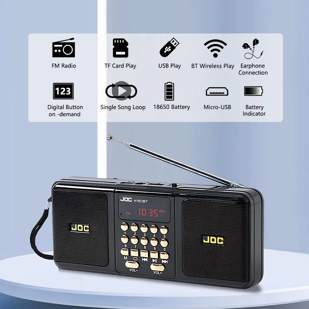Enceinte portable avec Bluetooth et radio FM, noire