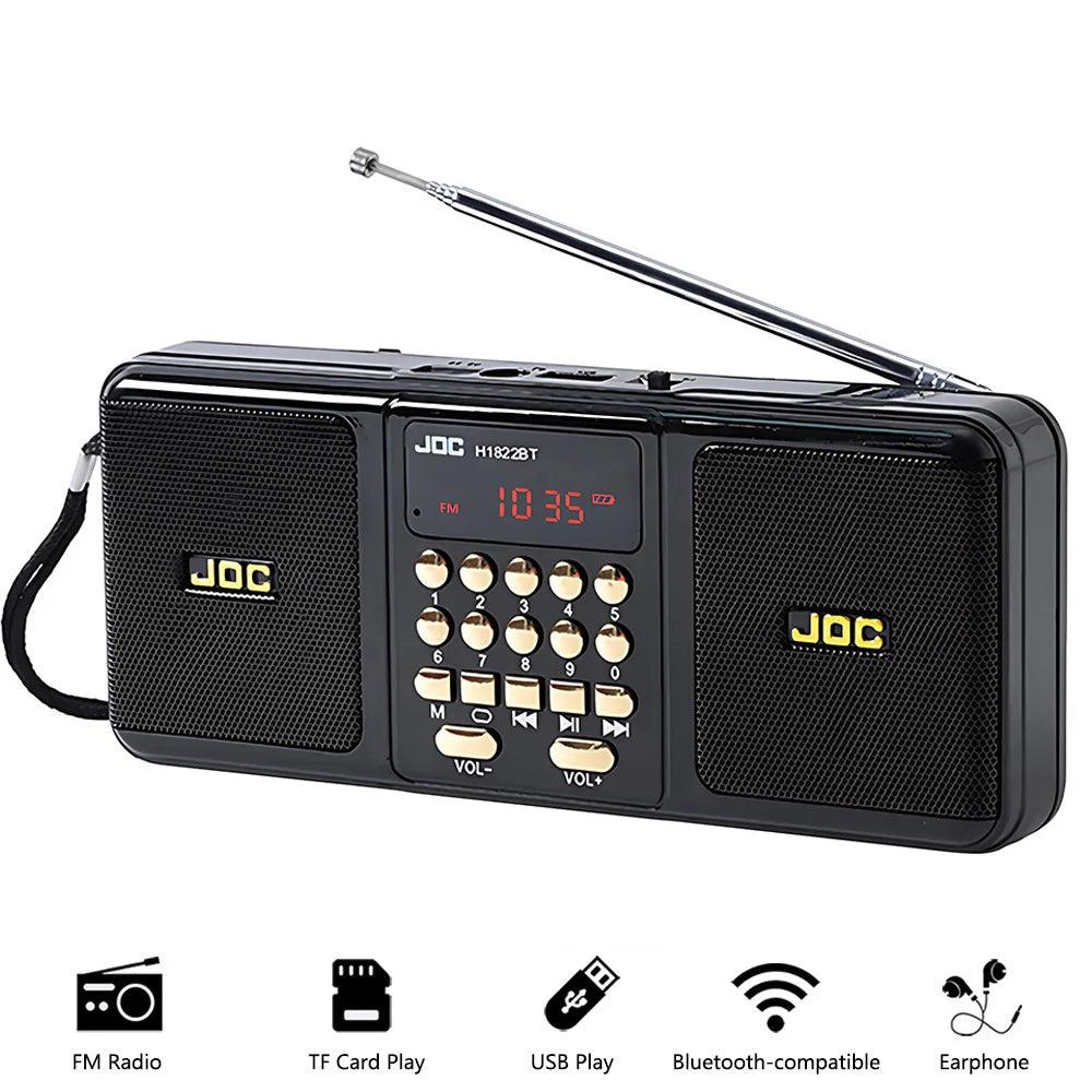 Black portable Bluetooth speaker with FM radio