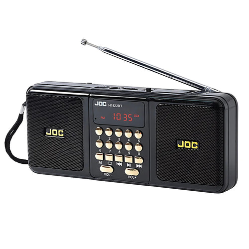 Draagbare luidspreker met Bluetooth en FM-radio, zwart
