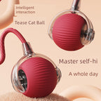 Smart interactive cat teaser ball