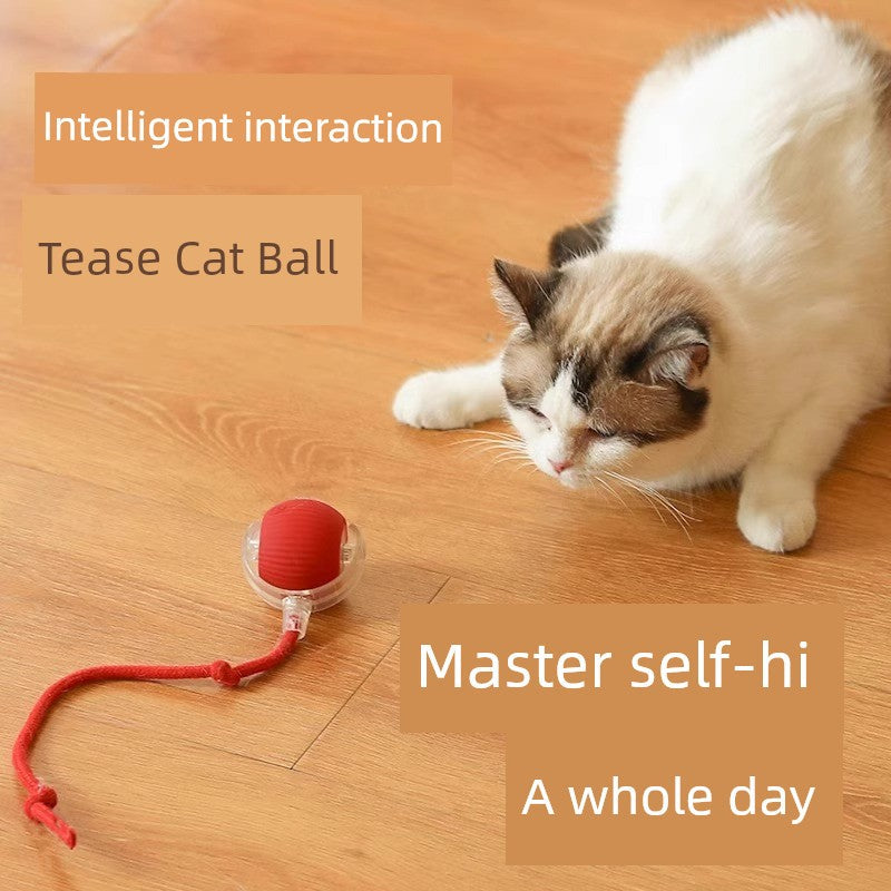 Smart interactive cat teaser ball