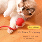 Smart interactive cat teaser ball