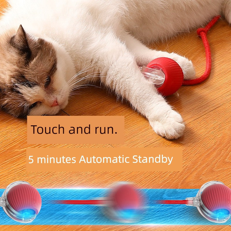 Smart interactive cat teaser ball